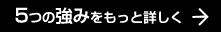 5つの強みをもっと詳しく