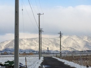 IMG_5446