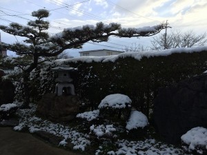 IMG_5448