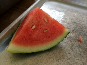 IMG_6060