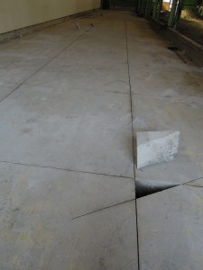 DSCN2472