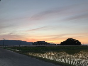 IMG_0281
