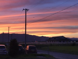 IMG_0796
