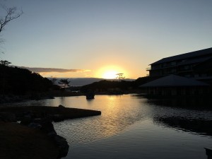IMG_2568