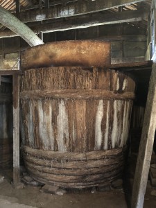 IMG_2008