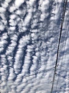 IMG_3355